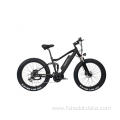 High Speed ​​Running Electric Fat Tire Bike